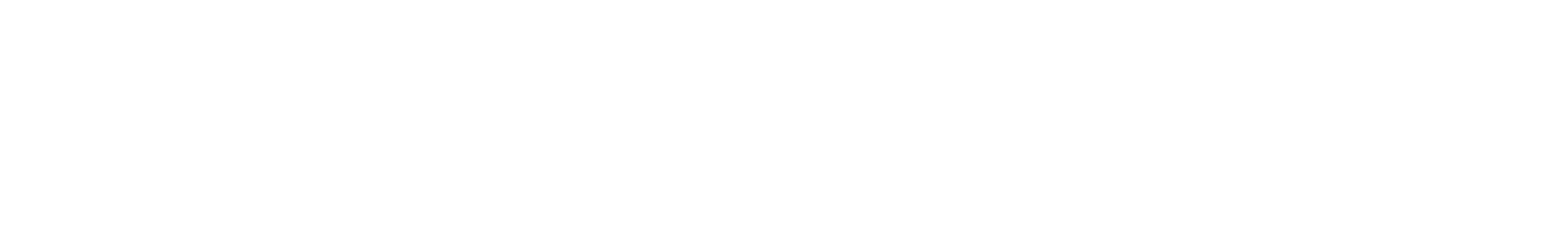 emmi-pet