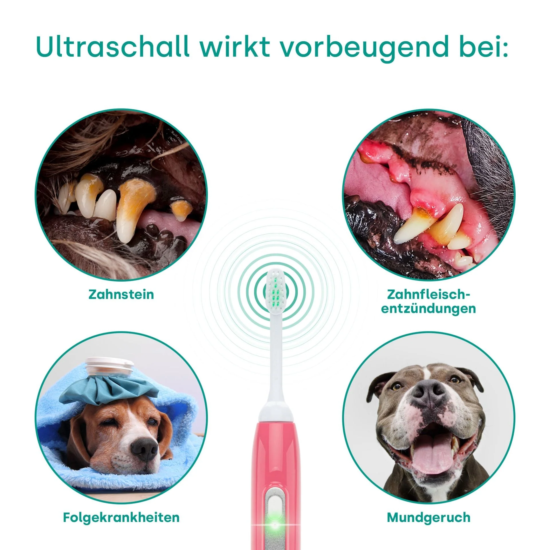 18261-Emmi-pet Basis Set 2.0 Limited Pink UK - Image 7