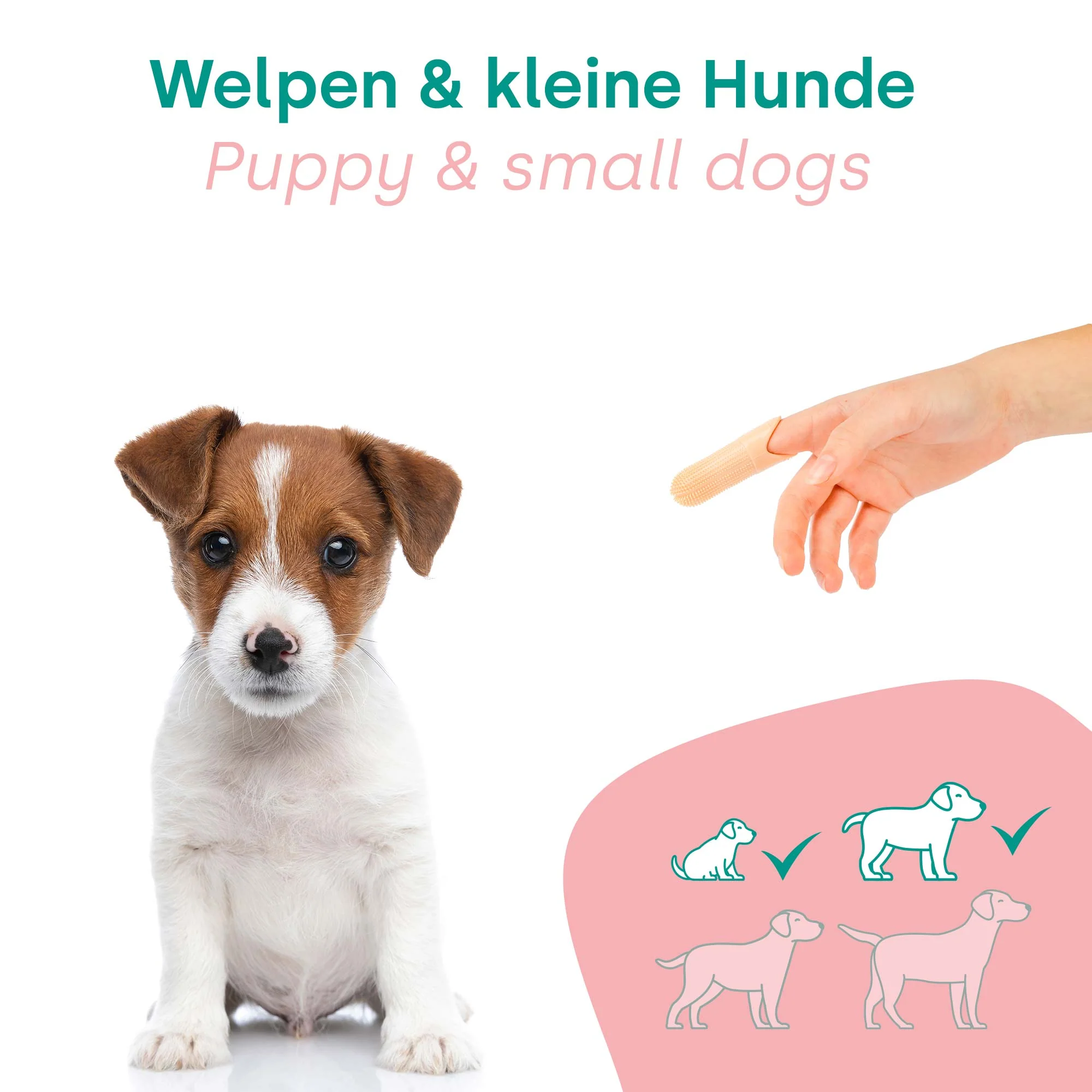 HappyDentalCare Puppie Set - Image 12