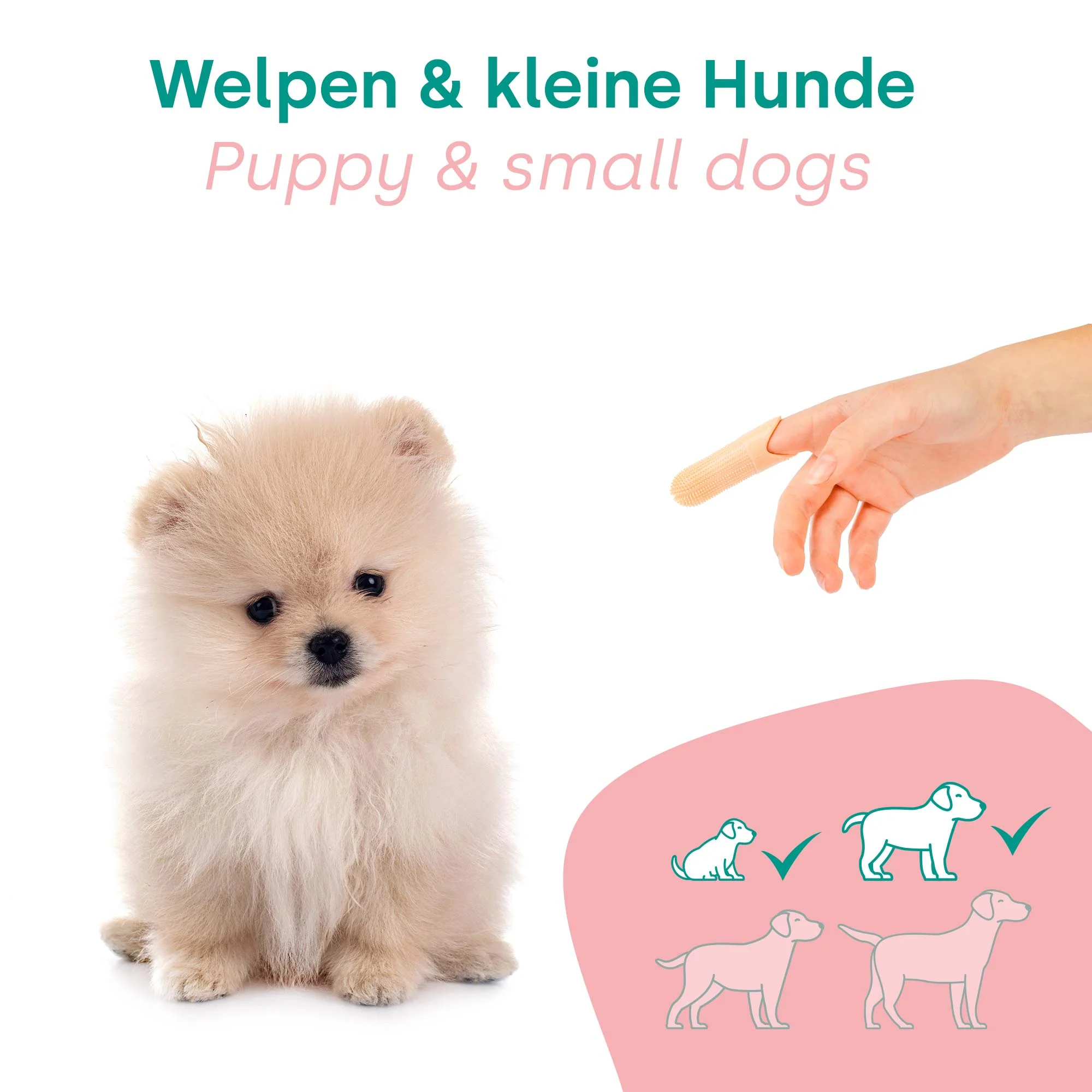 HappyDentalCare Puppie Set - Image 3