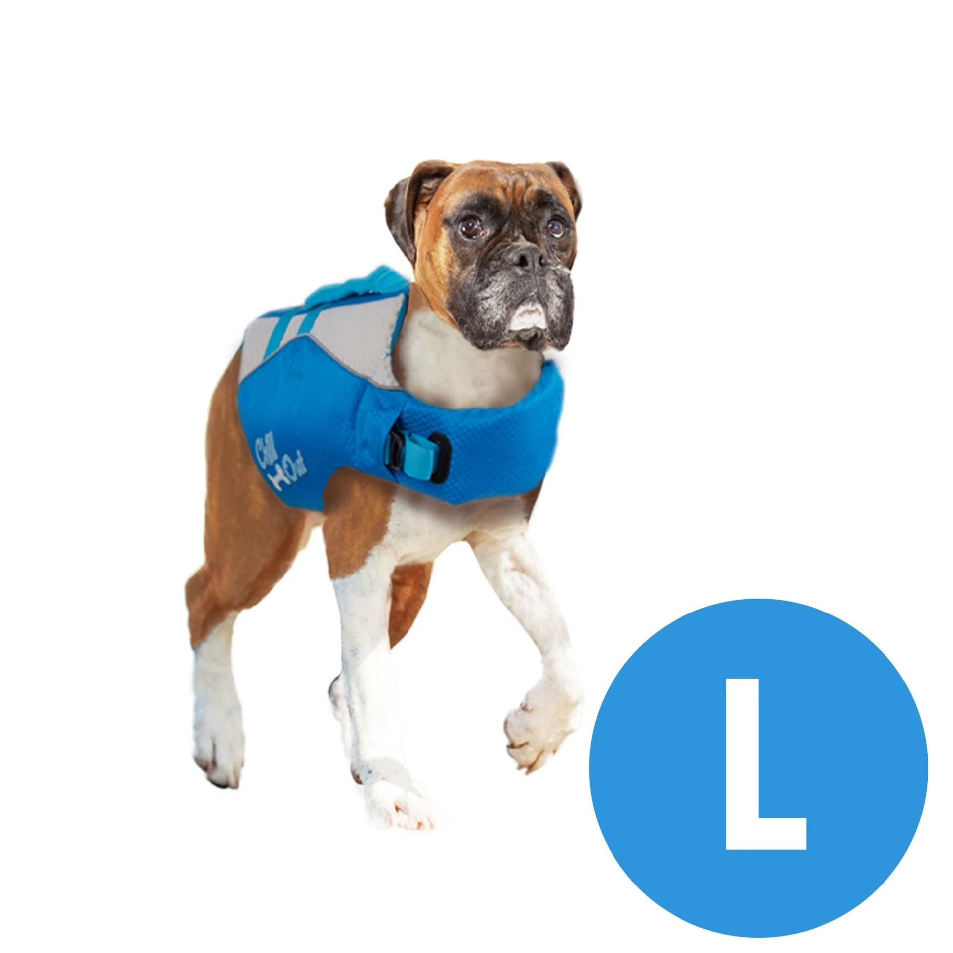 Schwimmweste für Hunde - Image 5